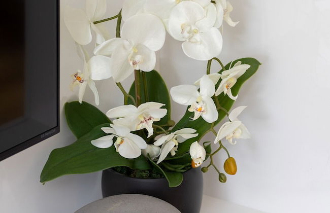 Apartment With Parking Gdansk by Renters - Foto 51