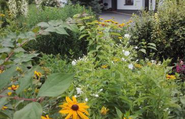 Apartamenty Leszczynowa 7 blisko Zatora - Foto 4