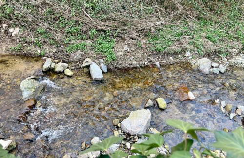 Au Son du Clocher - Foto 14
