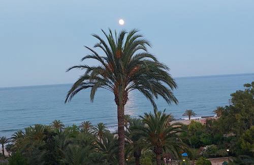 barbara 20 playa muchavista alicante - Foto 35