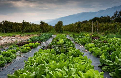 Hotel Agriturismo Al Luogo Del Giulio - Foto 107