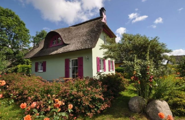 Red-throated Diver Modern Retreat - Foto 1