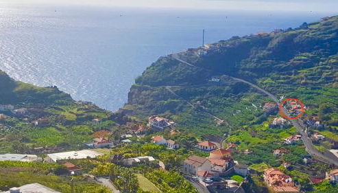 Pink House - Photo 3