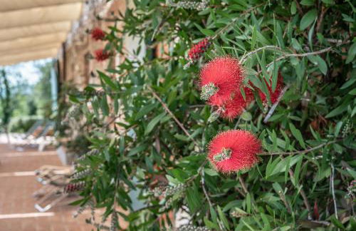 Appartamento con magnifica vista e piscina - Foto 22