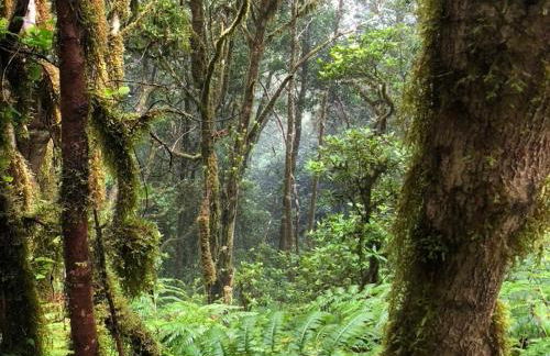 Home2Book El Encanto De la Torre I - Foto 47