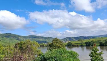 Haus der Weinkönigin Kristina - Foto 3