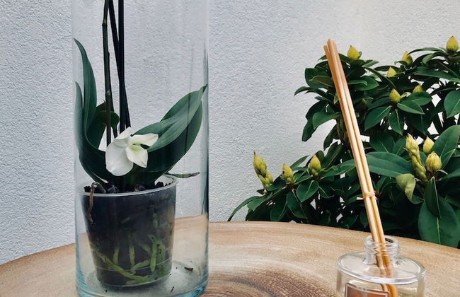 Casa Relógio de Sol - Foto 47