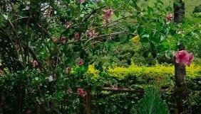 Chácara da Cláudia lindoia - Foto 4