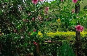 Chácara da Cláudia lindoia - Foto 4