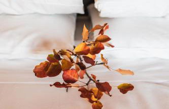 Encanto Agriturismo & Private SPA - Foto 25