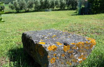Poderaccio Agri Relais Apartments & Restaurant - Foto 52