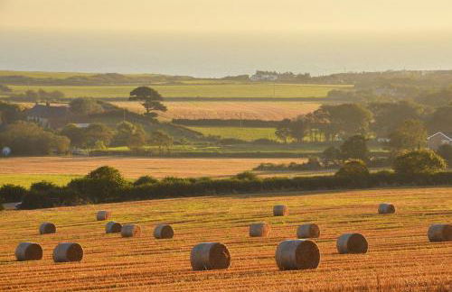 Sixpenny Cottage - Photo 10