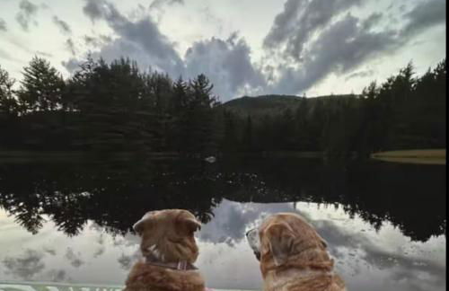 Balsam Fir Mirror House at FarAway Pond - Foto 9