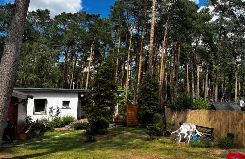 Kiefernblick - Foto 18