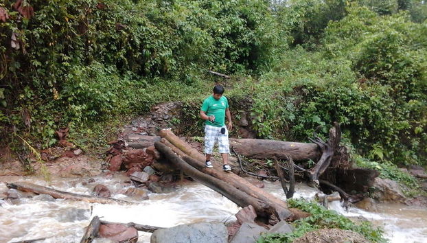 Sentier dans la jungle