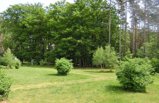 Ostseetraum Graal-Müritz - Foto 22