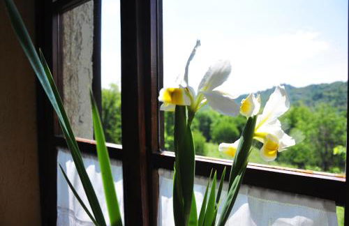 Agriturismo La Costa - Casa Vacanze - Foto 62