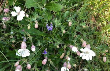 Coastal Cabin Chalet - Foto 47