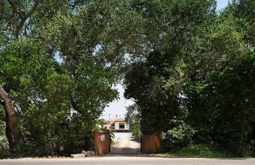 Casa Los Alamos - Foto 28