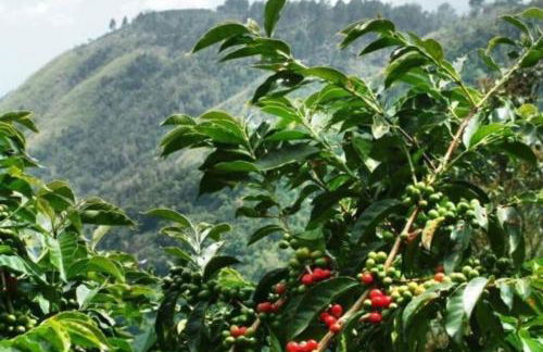 Vivienda Vacacional Casa Uca - Foto 27