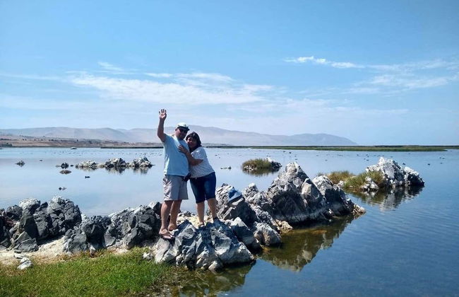 Escursione a Puerto Grau, paludi di Ite e collinette di Tacahuay - Foto 4