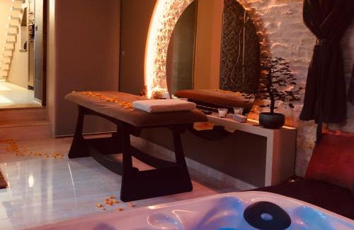 Domaine de l'Angélique - Loft avec SPA privatif - Marais poitevin entre Niort et La Rochelle - Foto 3