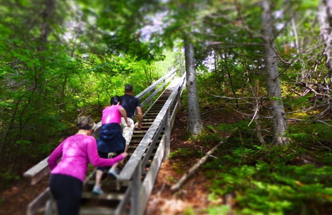 Indian Falls Chalets - Photo 50