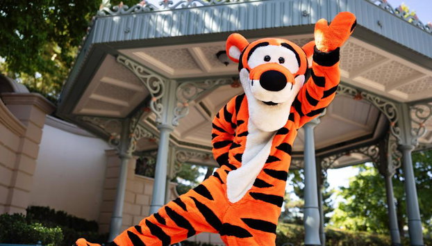 Train and Disneyland® Ticket - Photo 3