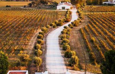 Monte das Lages - Foto 32