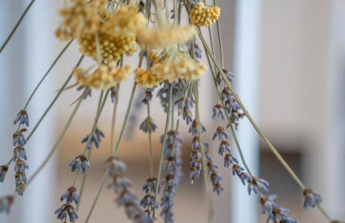 A White Cliffside Studio - Photo 16