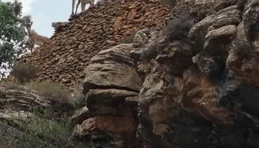 MOLINO DOLZ - Foto 3