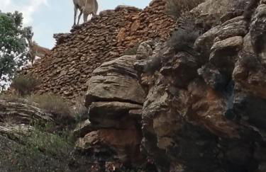 MOLINO DOLZ - Foto 3