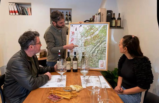 Dégustation de vins avec le producteur Visite la cave e vignoble - Photo 5