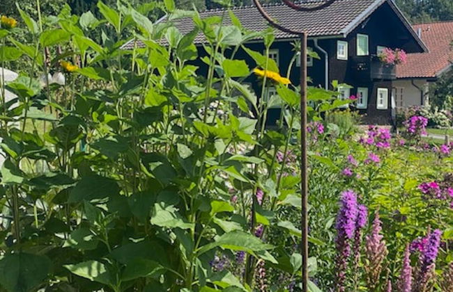 Holiday Home in Rattersberg Bavaria With Terrace - Foto 21