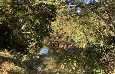 Sítio do Ziquinha - Photo 23