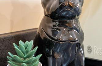 LITTLE HOUSE - Perfect for exploring The Broads - Foto 8