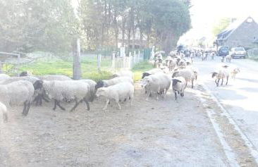 Au Mont Chez Nous # Jacuzzi & Sauna # - Foto 33