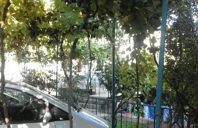 Apartments Jovana - Foto 27