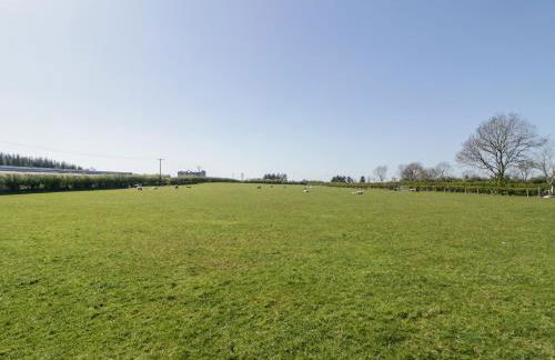 Mountain View - Foto 26