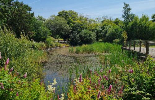 2-bed Cottage, Sleeps 5, Pets Ok, Close to Coast - Foto 16