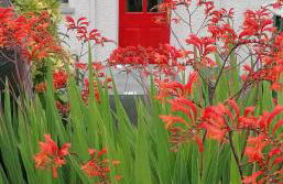 The Beeches - Foto 15