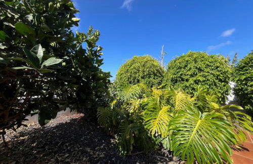 Las Papayeras - Foto 30