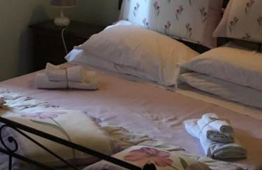 Cardinal Girolamo - Foto 39