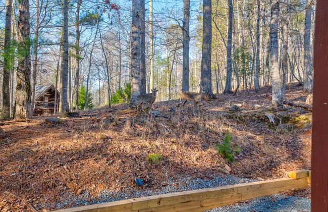 Deer Watch Retreat - Photo 56