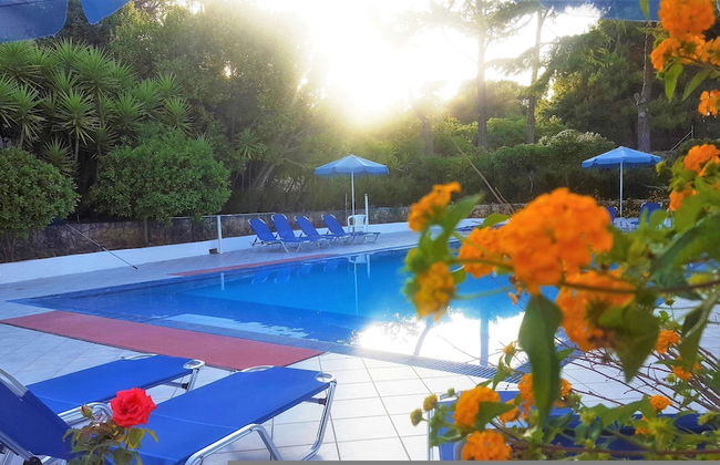 Bluewhite Studio - Cozy Garden Nest - Foto 17