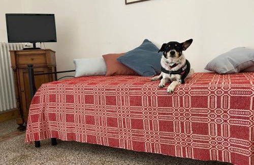 Residence Belvedere - Foto 10