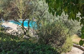 Domaine Provençal "Le Timon" - Foto 24