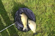 Agroturystyka Podlasie - Foto 13