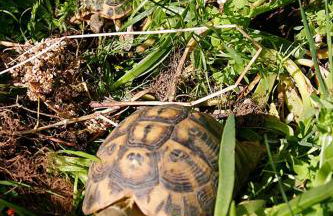 Casa Conti di Sotto - Foto 41