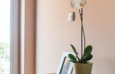 Apartments Zaton - Photo 42